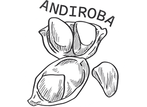 ingredient andiroba 2