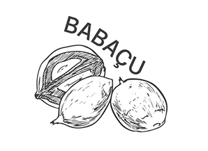 ingredient babacu 2